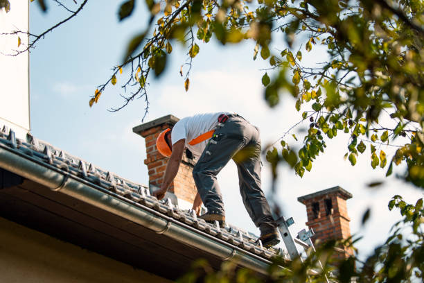 Best Gutter Installation and Roofing  in Parkers Prairie, MN
