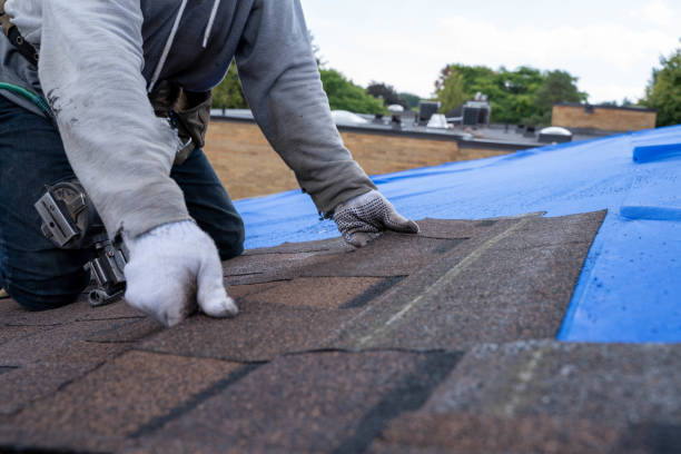 Best Flat Roof Repair Services  in Parkers Prairie, MN