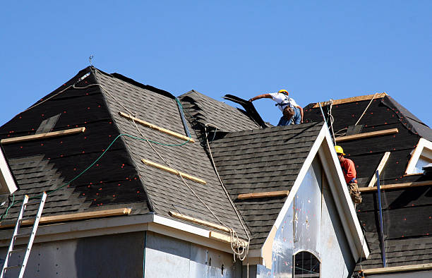 Best Shingle Roofing Installation  in Parkers Prairie, MN