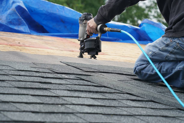 Best Local Roofing Companies  in Parkers Prairie, MN