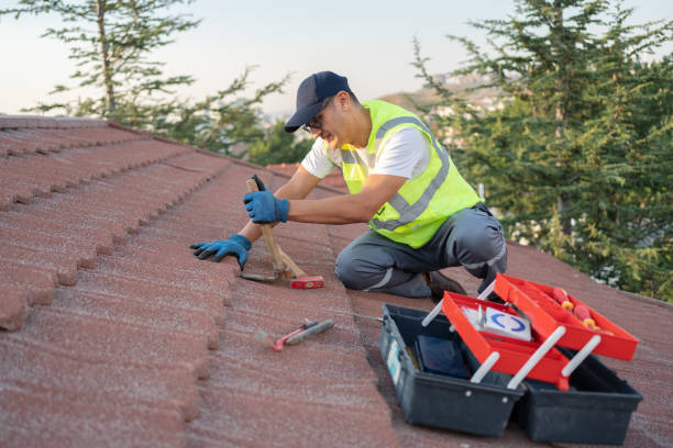 Best Roof Gutter Cleaning  in Parkers Prairie, MN
