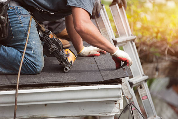 Best Roof Gutter Cleaning  in Parkers Prairie, MN